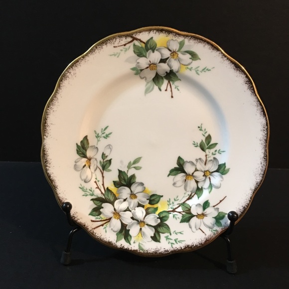 Royal Albert Bone China White Dogwood England 6 3/8" Flawless - Picture 4 of 5